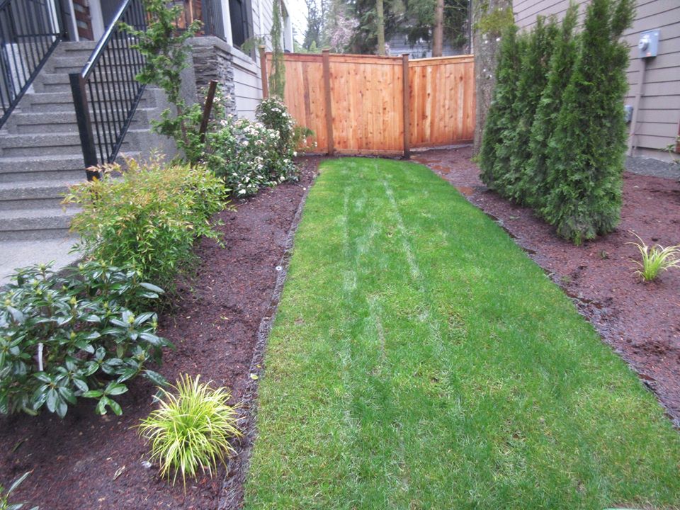 Garden Galleries Bothell WA Fancy Plants Gardens, INC