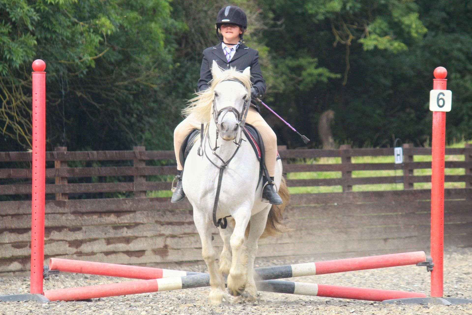 Back Lane Stables Programme & Instructors Horse Riding School