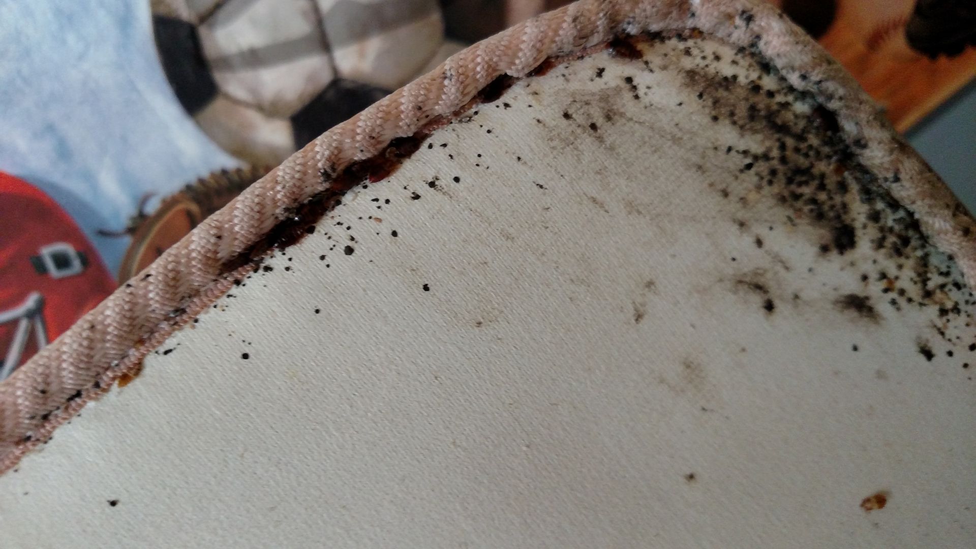 Bed Bug Control Richmond VA | H. L. Cooper Pest Control