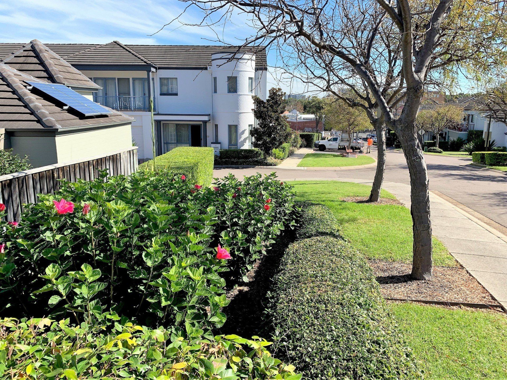 Tropical garden maintenance