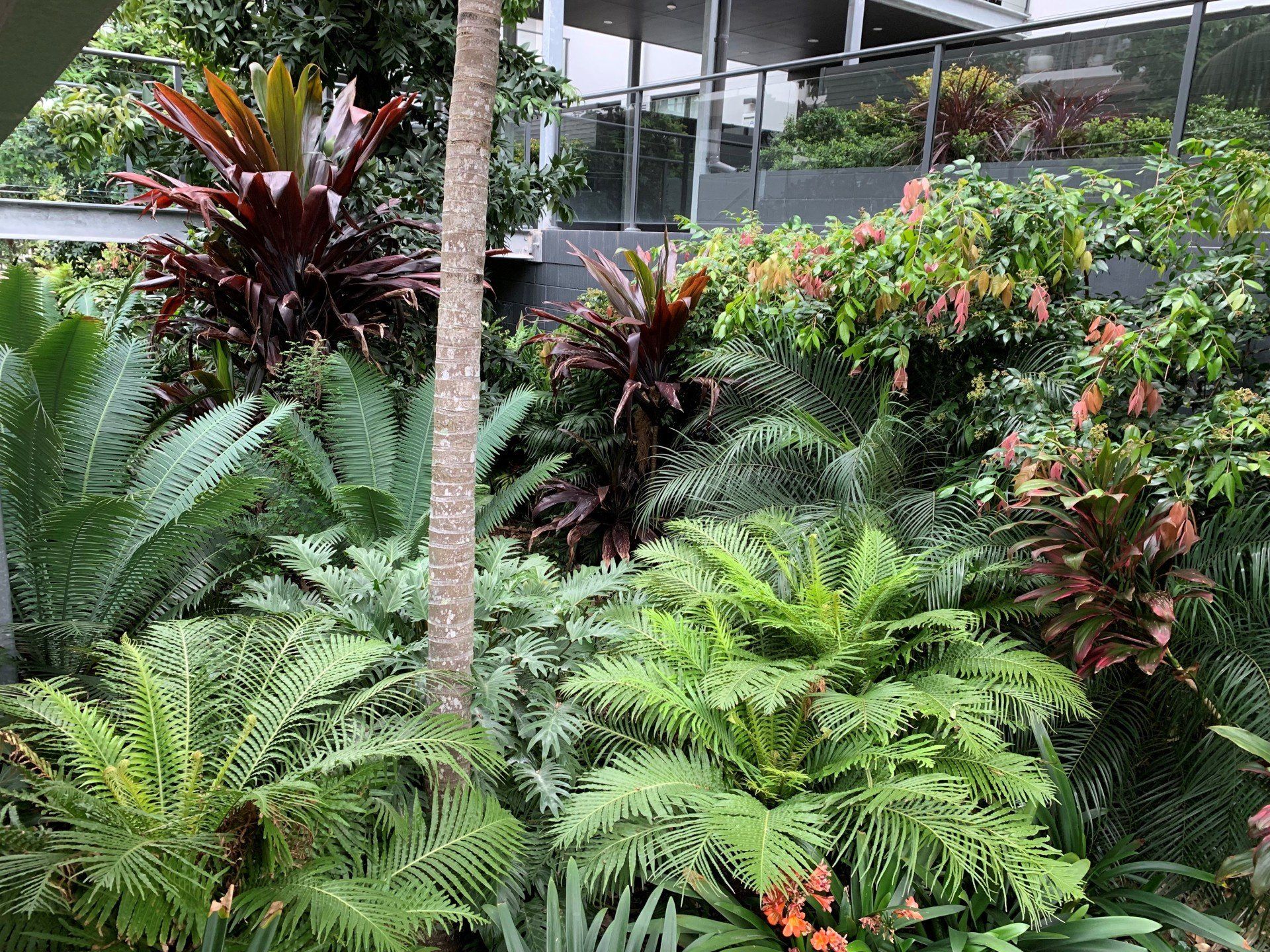 Tropical inspired garden