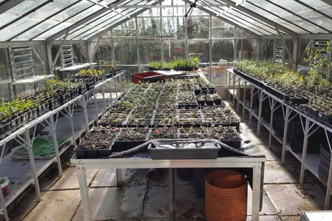 Plant nursery | Stotts Nursery
