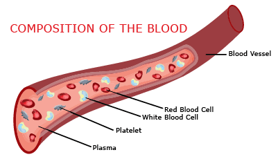 Dr Flora Skin Health Sport Injuries
