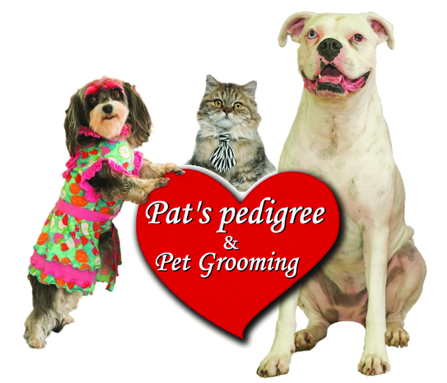 Pat's Pedigree \u0026 Pet Grooming - Sunrise, FL
