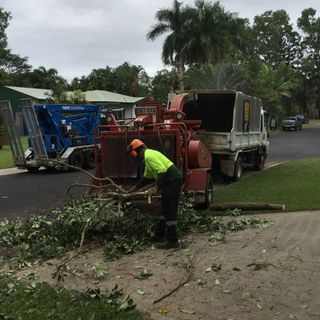 person grinding tree branches