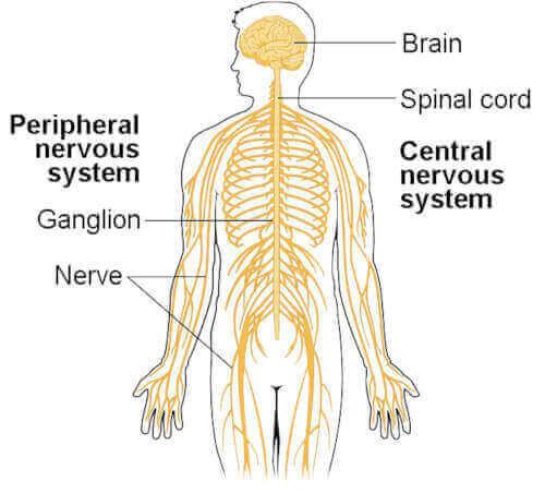 Neuropathy in Hands