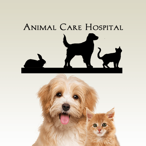 animal care hospital near me