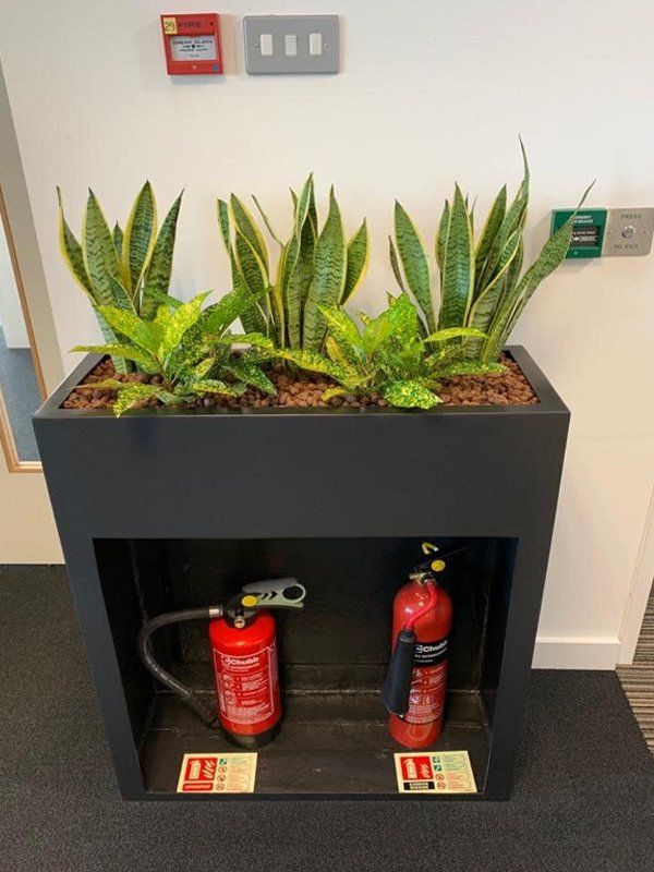 Interior Plant Displays For Offices Hotels Piflora Interior Plant Displays For Offices
