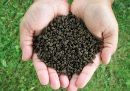 fertilizer