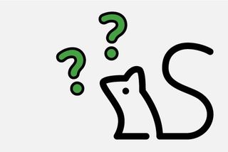 curious sensis mouse