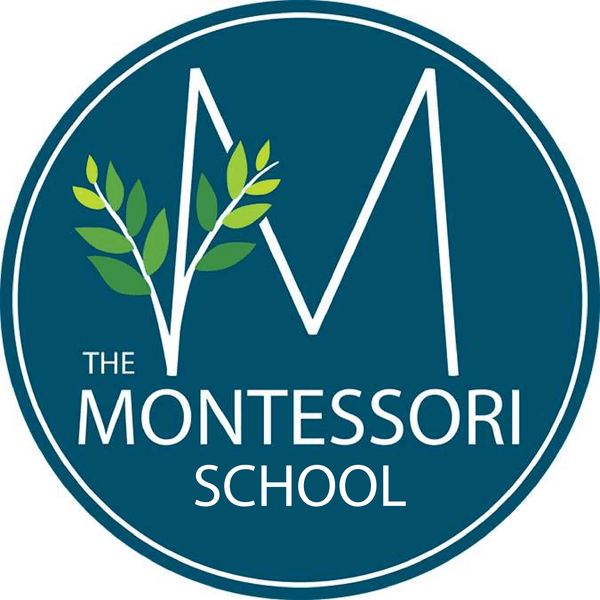 Ways To Give The Montessori School Of The Berkshires
