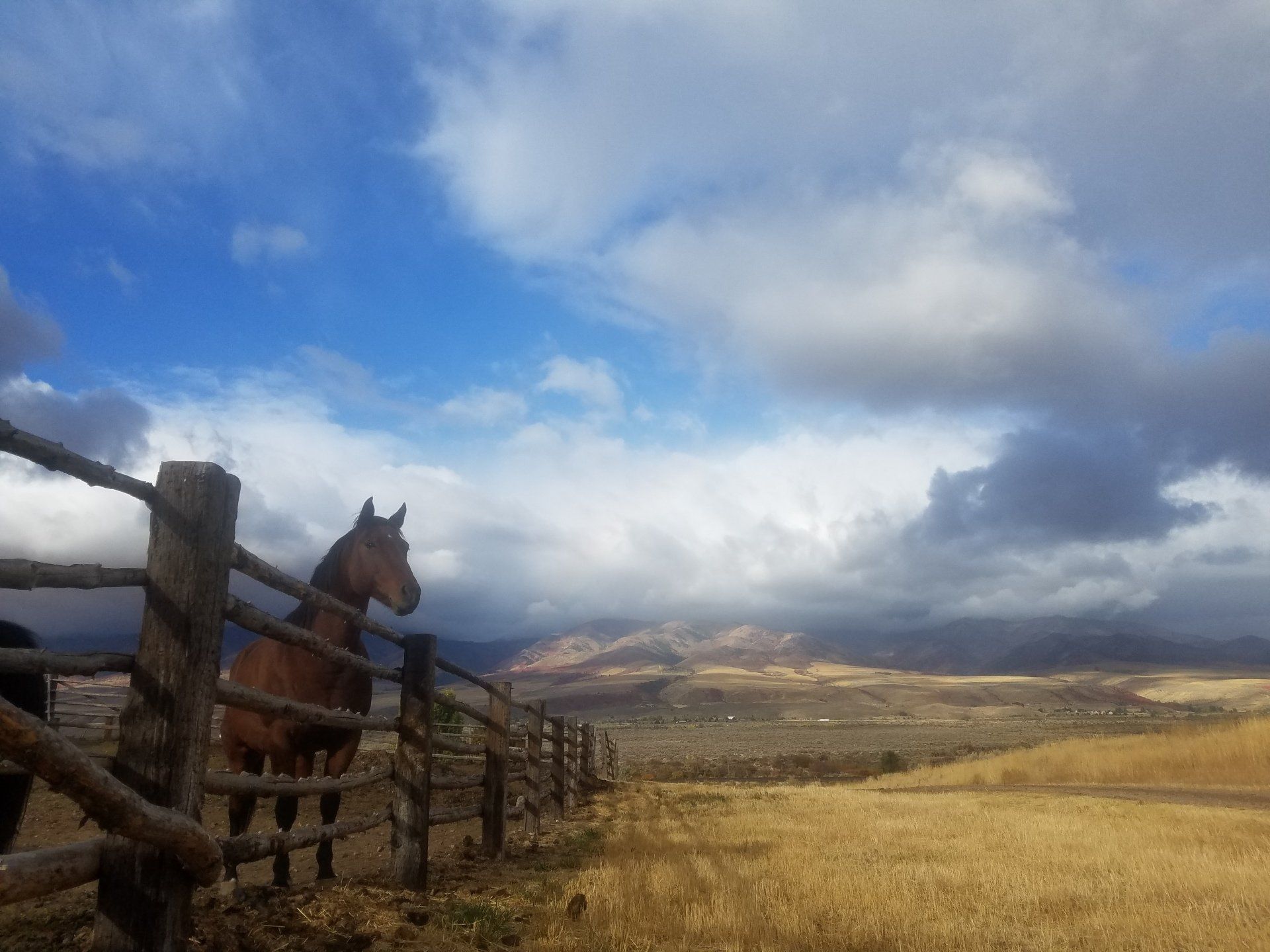 City of McCammon Idaho City Council, Forms, Permits, City Code and