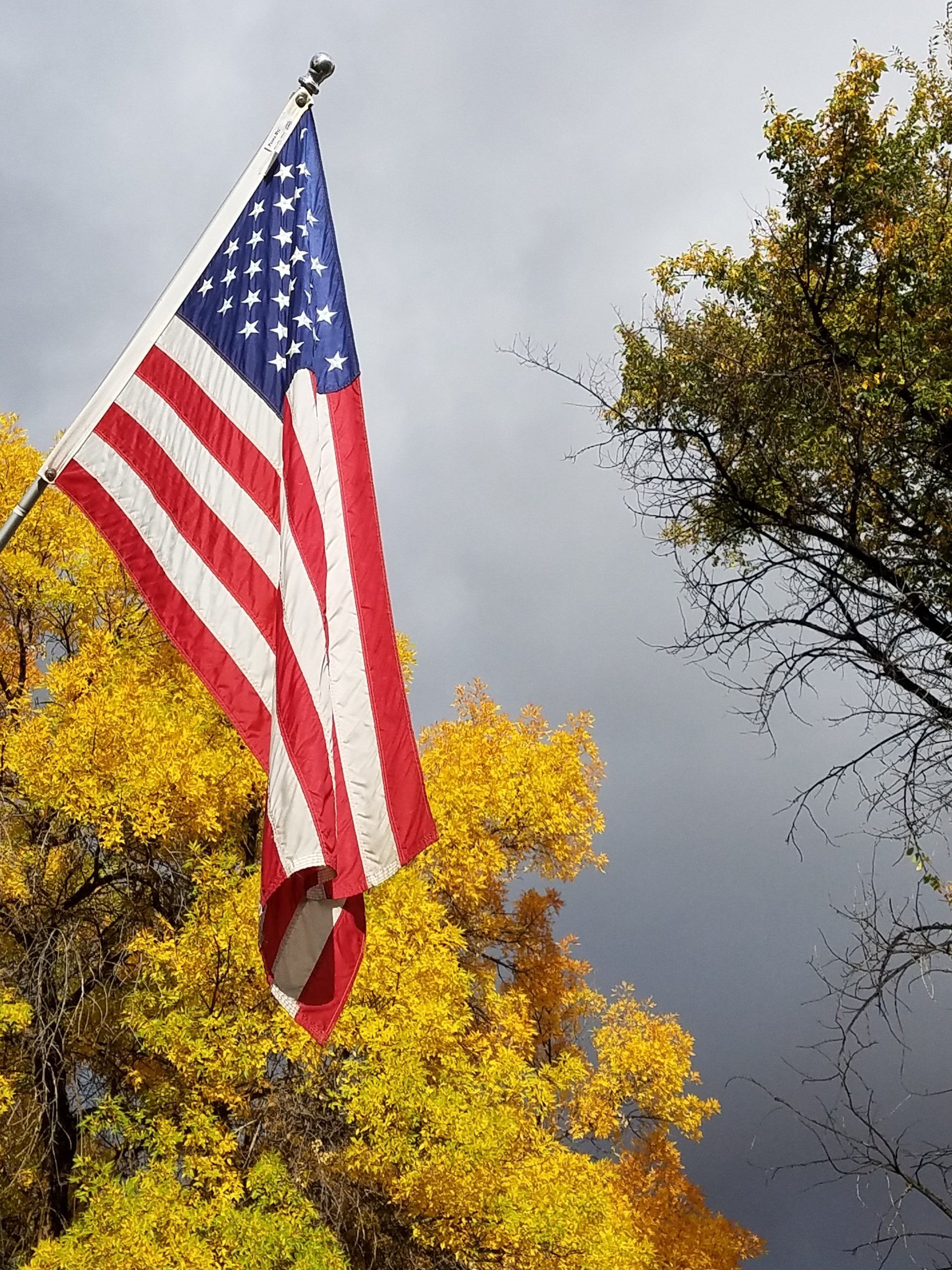 City of McCammon Idaho City Council, Forms, Permits, City Code and