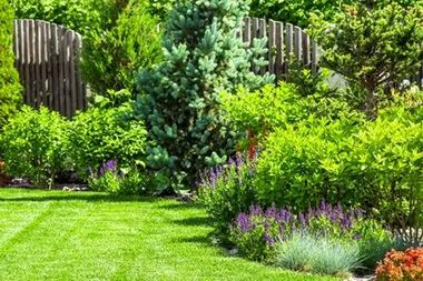 Consider These Before You Fence Your Front Yard