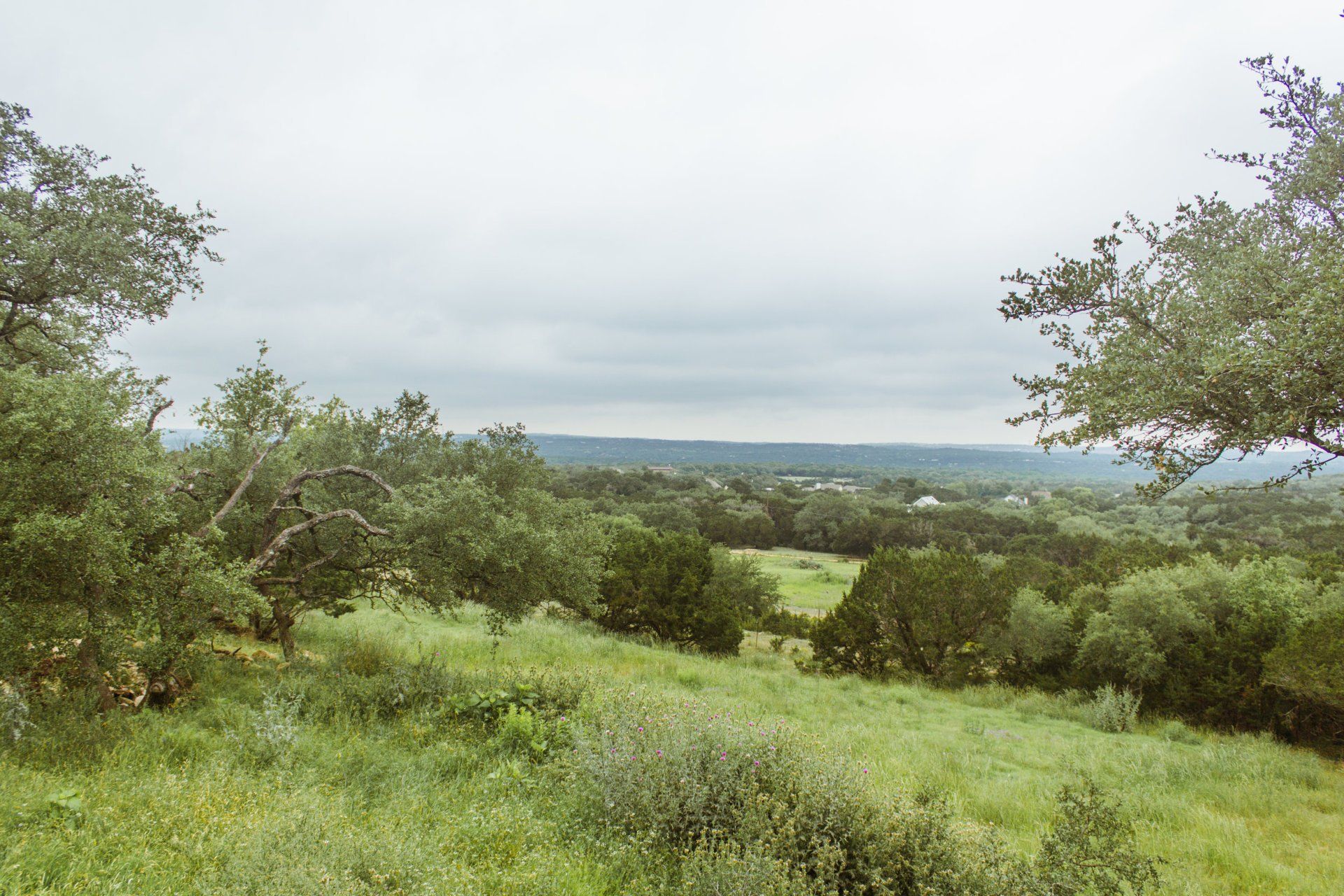 Lavender Springs Assisted Living Community