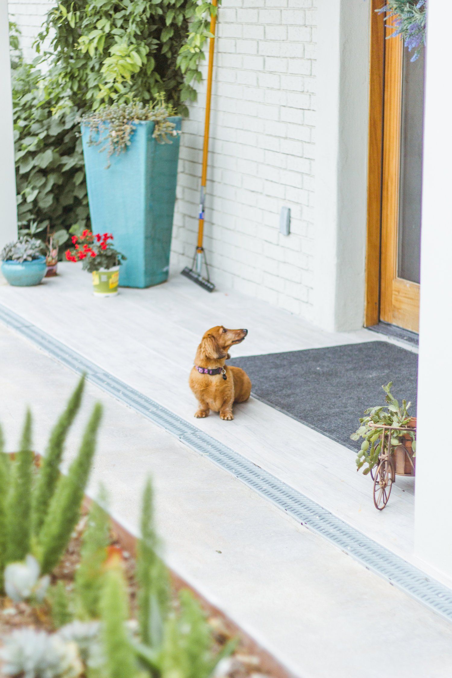 Lavender Springs Assisted Living Community