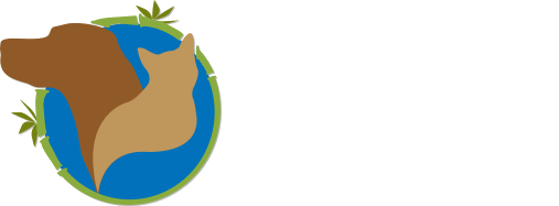 el dorado veterinary clinic