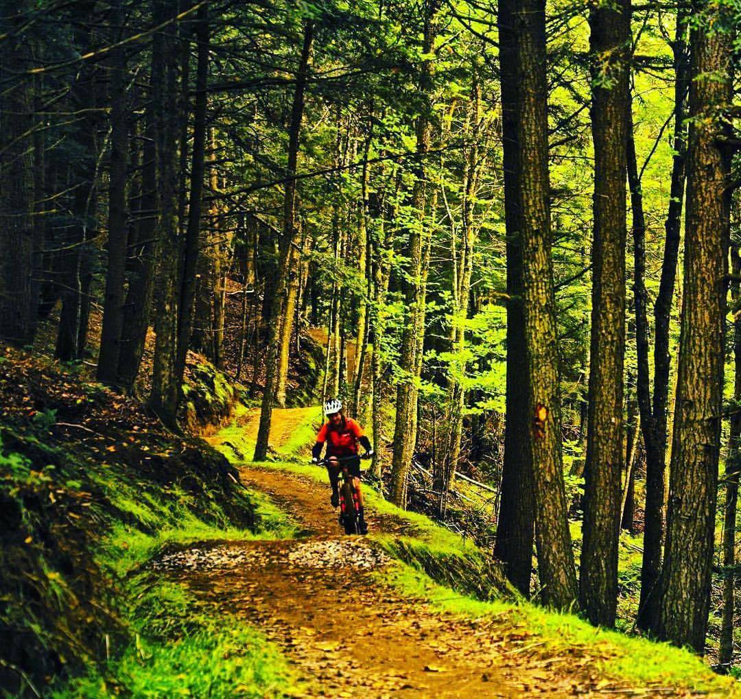 Mountain Bike Trails in Vermont Kingdom Trails