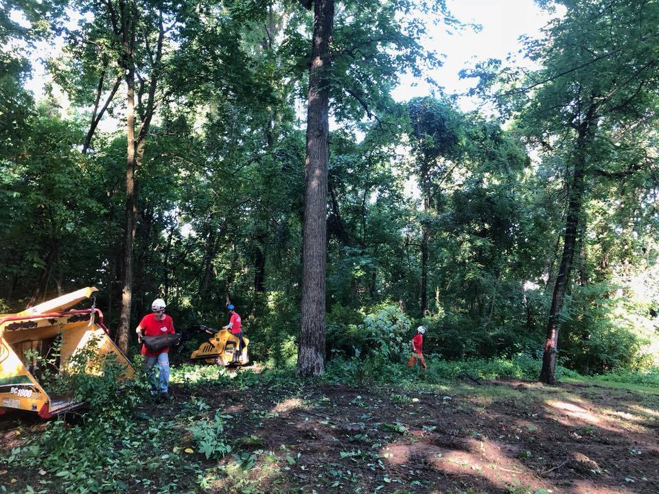 Tree Service 3146509055 St. Charles, MO