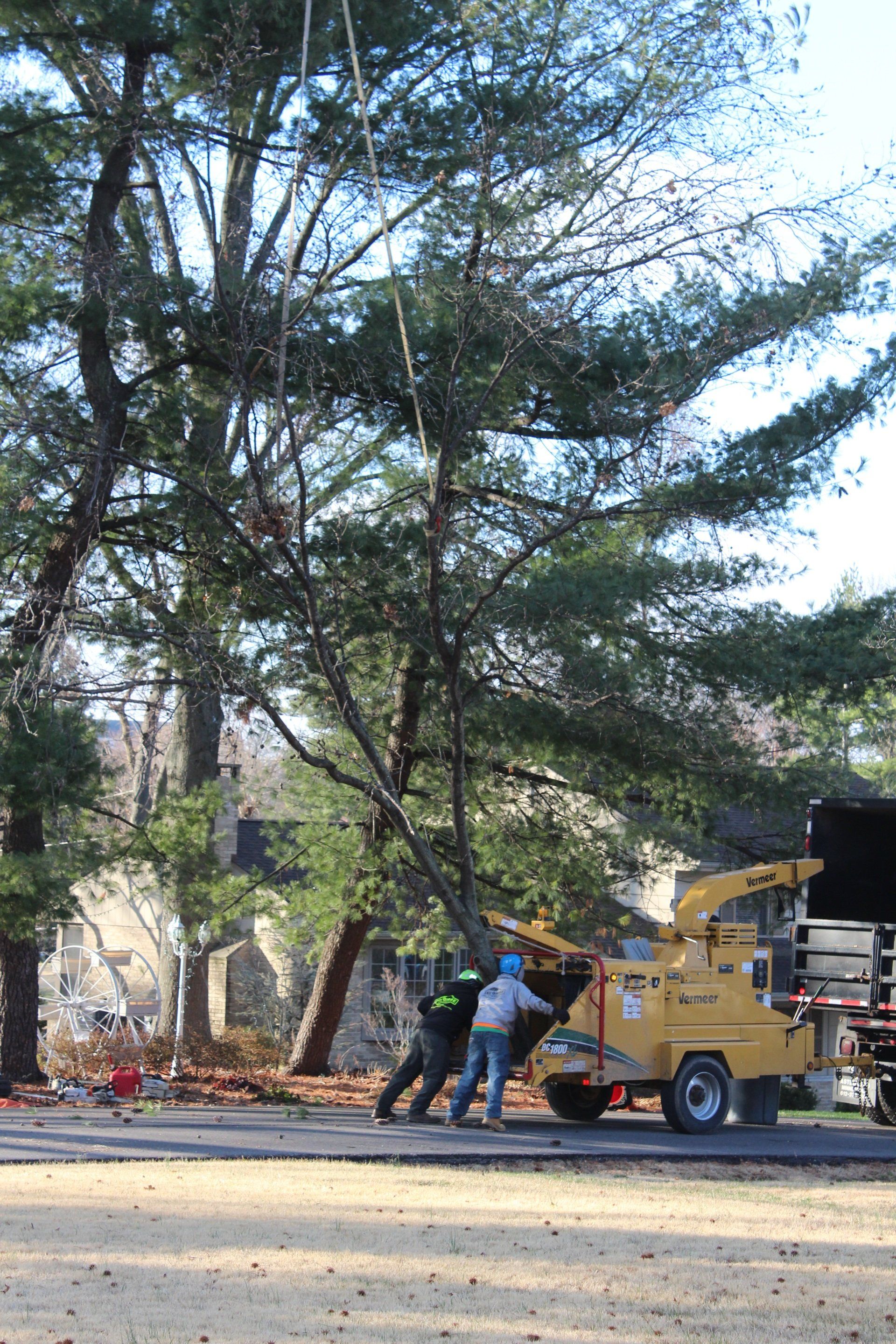 Tree Service 3146509055 St. Charles, MO