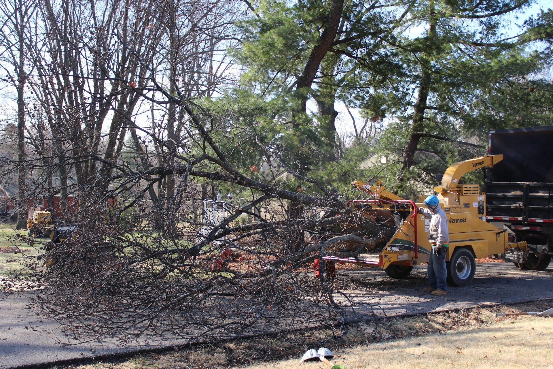 Tree Service 3146509055 St. Charles, MO