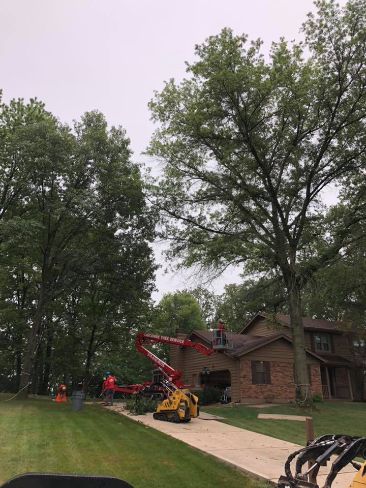 Tree Service 3146509055 St. Charles, MO