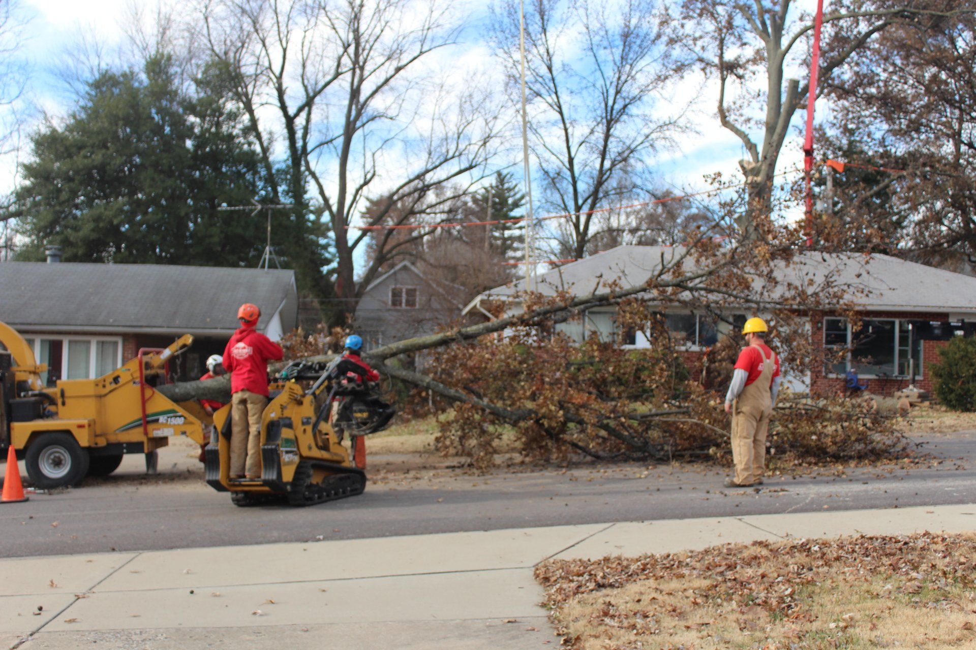 Tree Service 3146509055 St. Charles, MO