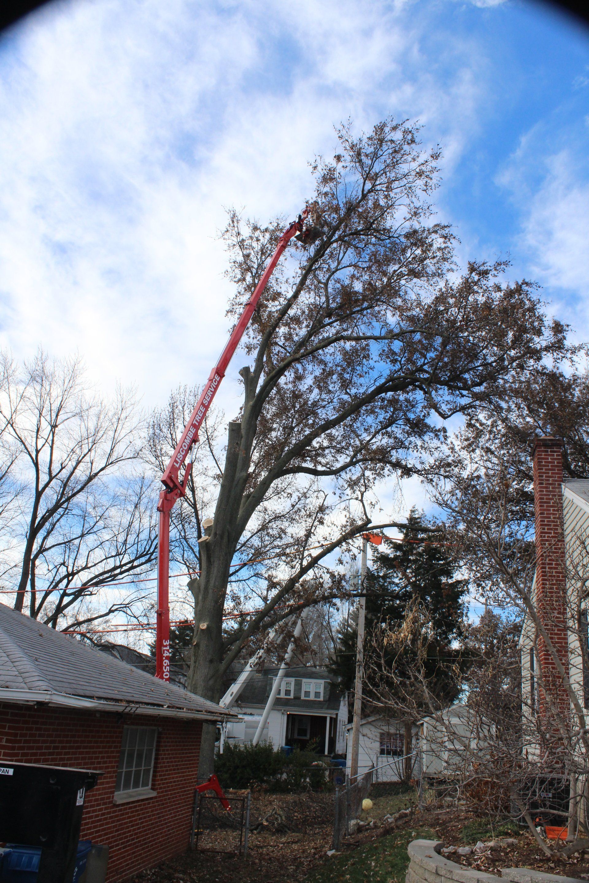 Tree Service 3146509055 St. Charles, MO