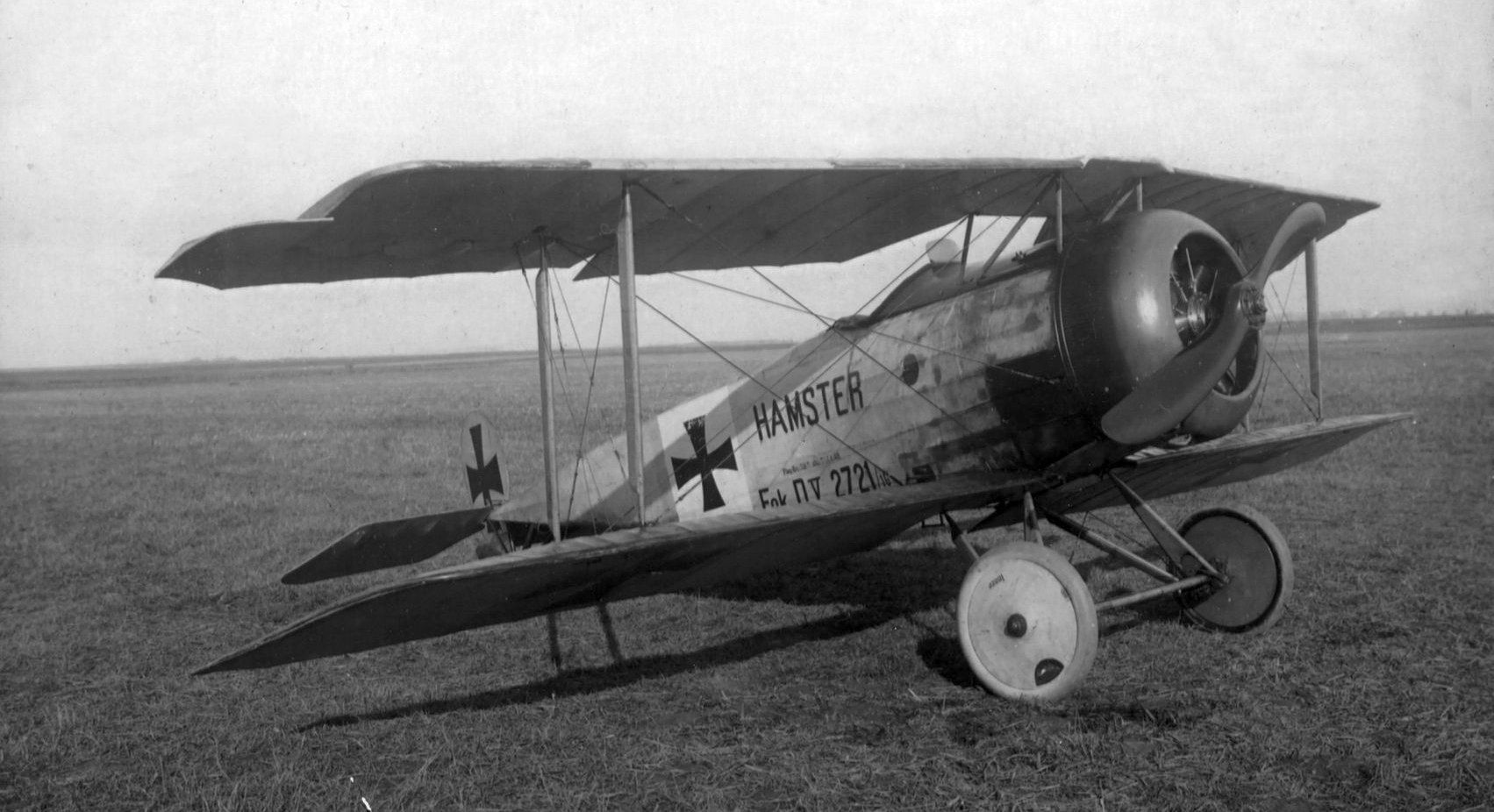 Fokker D.V