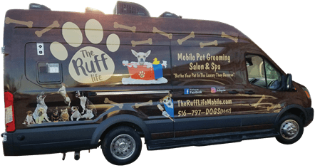 Mobile Dog Grooming Long Island