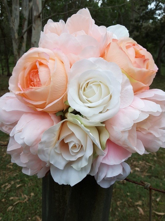 Apricot & Peach Flower