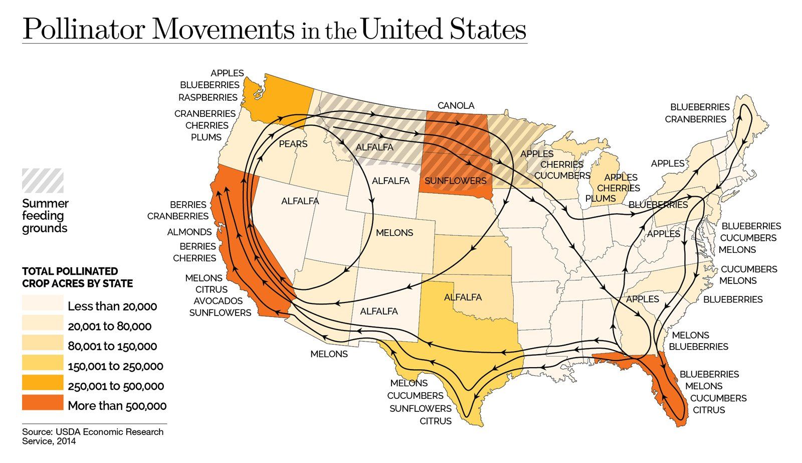 Beekeeping in the U.S.A. Part 1