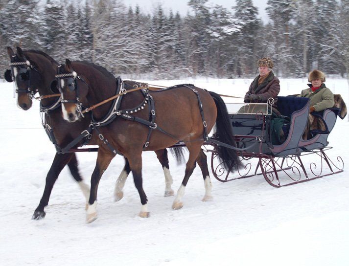 4Seat Cutter Portland Design, horse drawn sleigh collection for sale