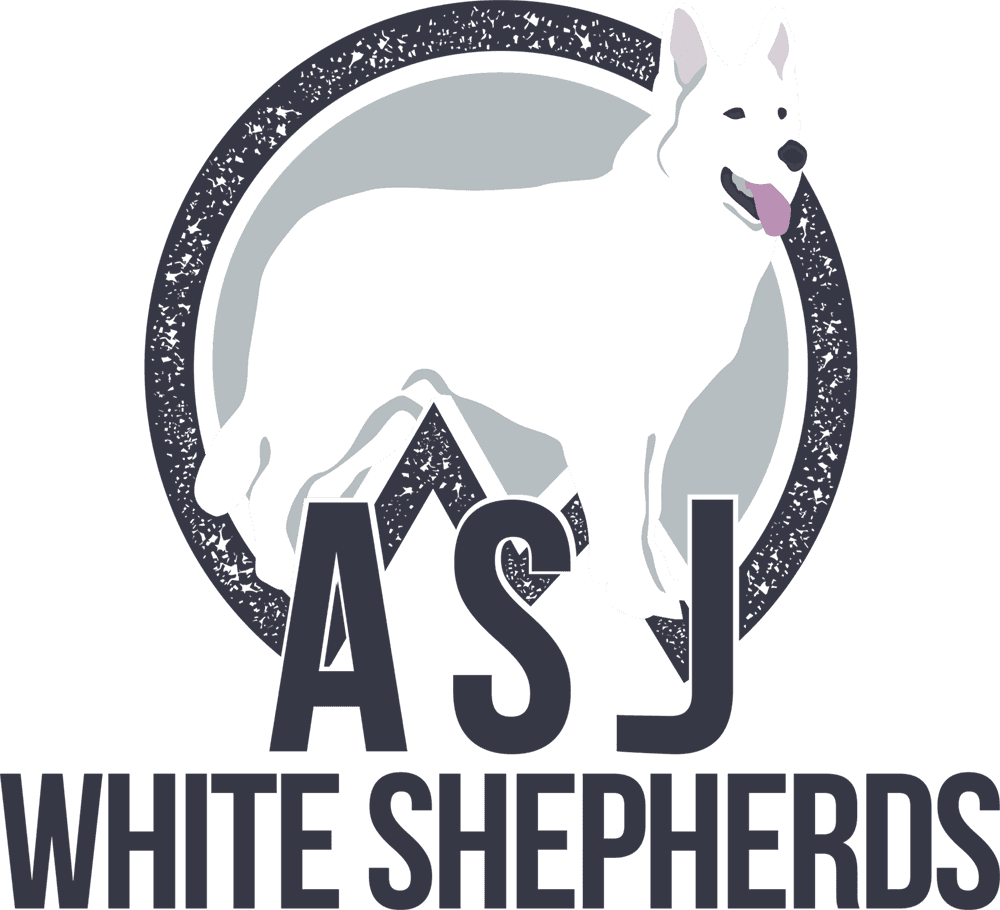 images of white german shepherd puppies