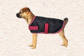 Dog coats