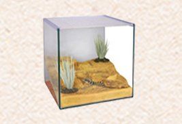 SMALL REPTILE OR SCORPION KITS