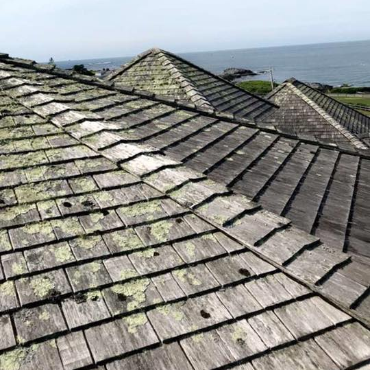 Best Lapel In Roof Cleaning