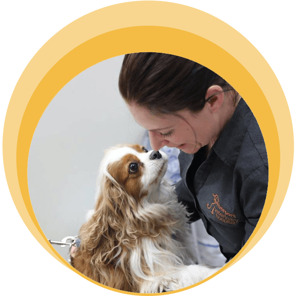 Free Puppy and Kitten Health Checks