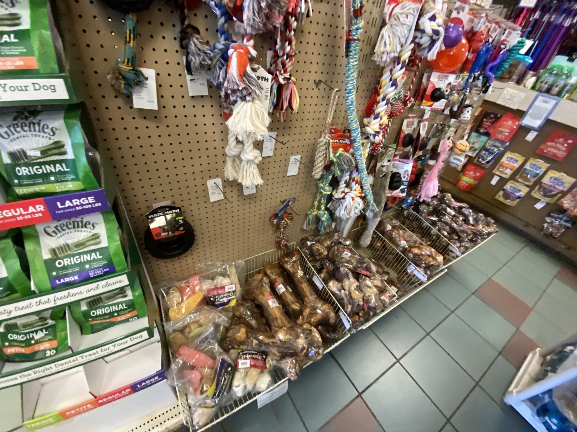 Pet Store & Food South Orange, NJ Animal Kingdom