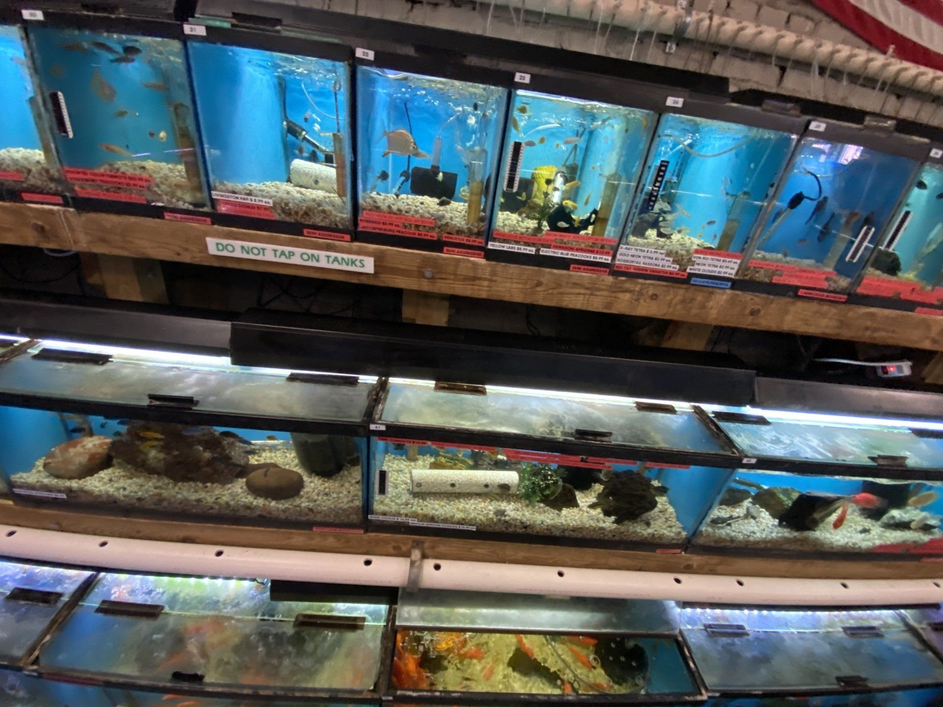 Pet Store & Food South Orange, NJ Animal Kingdom