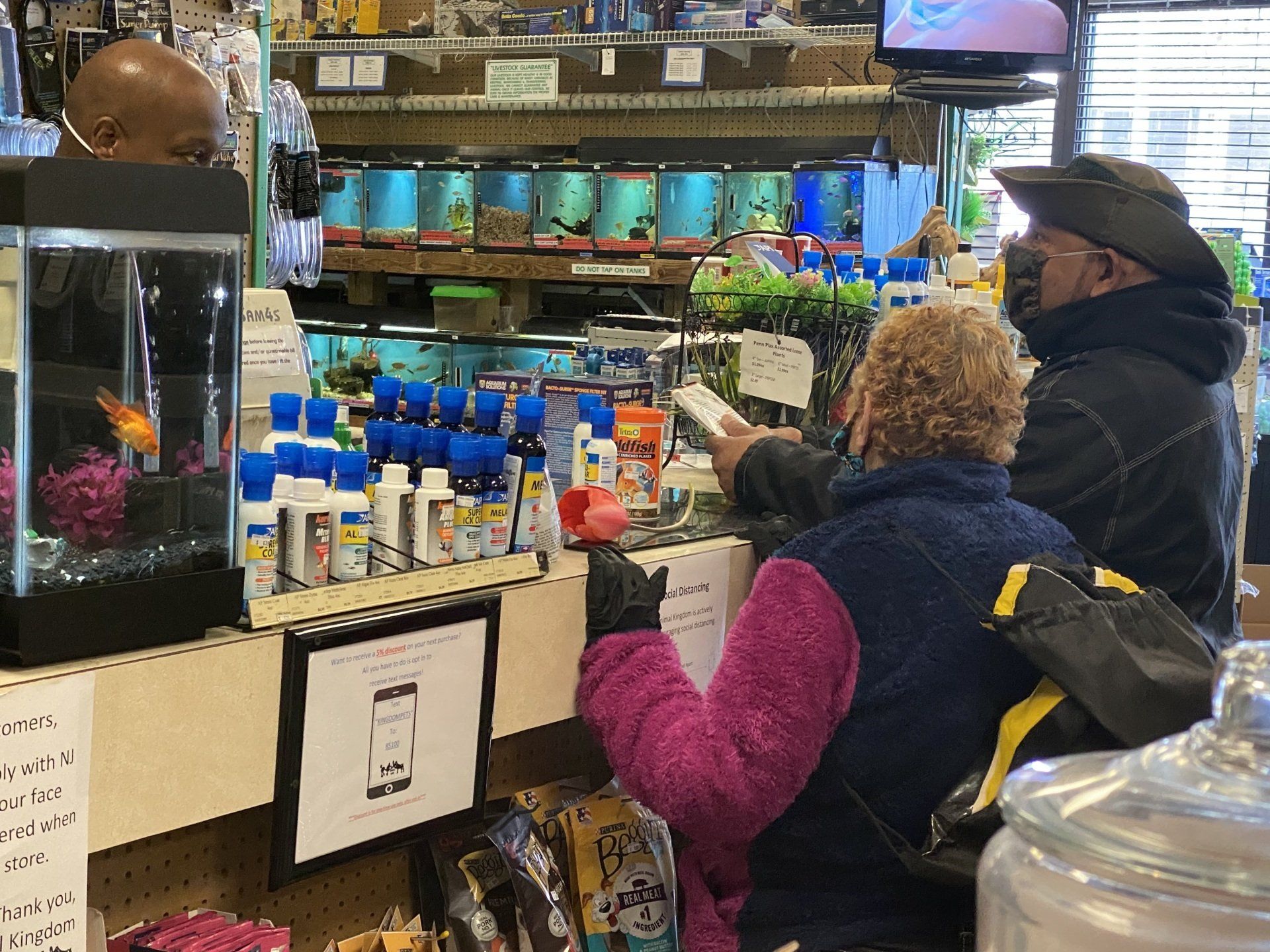 Pet Store & Food South Orange, NJ Animal Kingdom