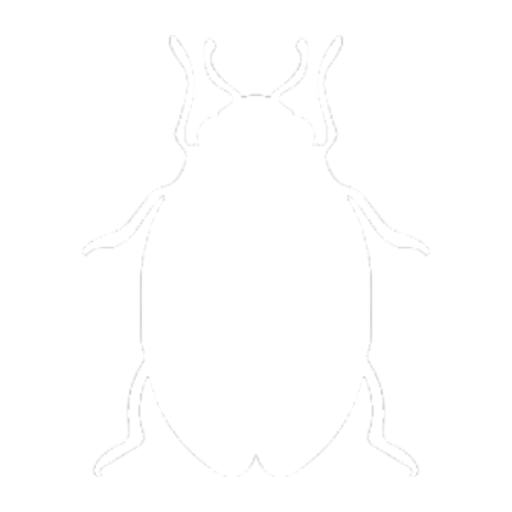 Termite Control Inspection Services Mustang Ok