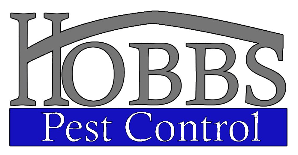 Pest Control Services Mustang & Blanchard, OK Hobbs Pest Control