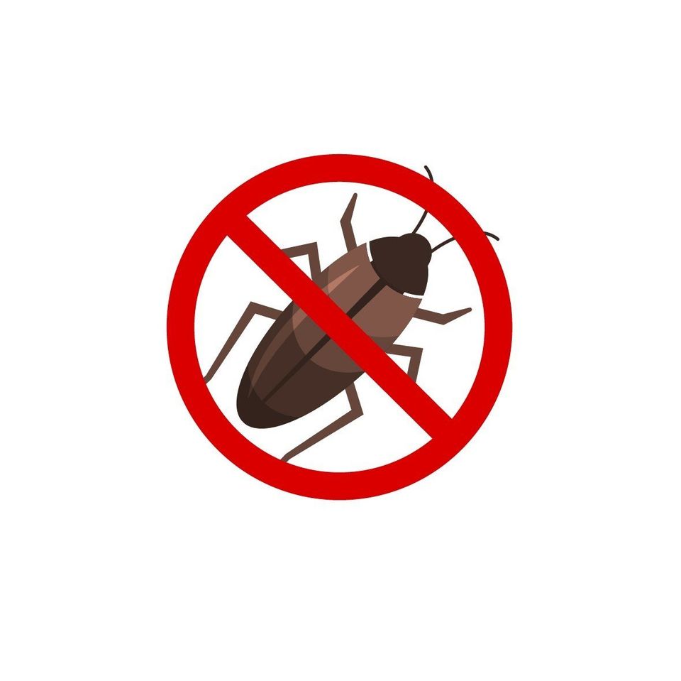 bed bug extermination cost