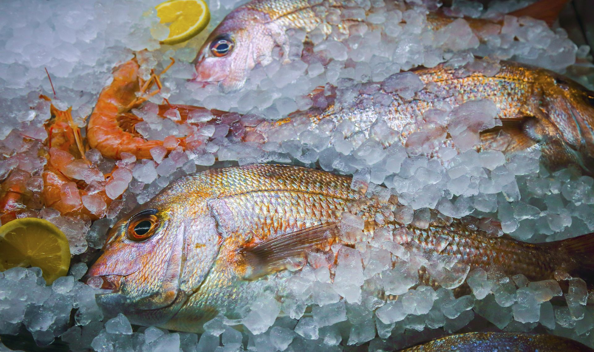 Albertson Seafood Market Albertson, NY