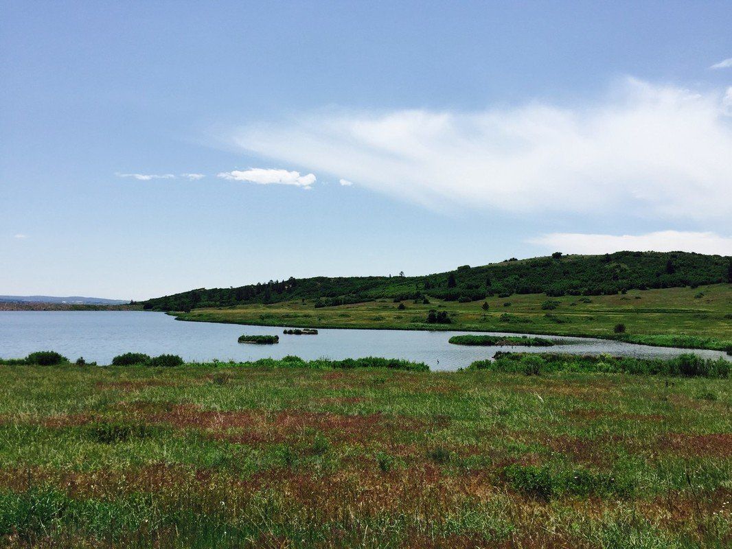 Custom Home Sites, Lots for Sale Forest Lakes, CO