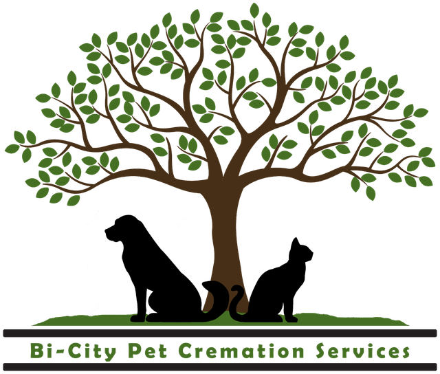 pet cremation services
