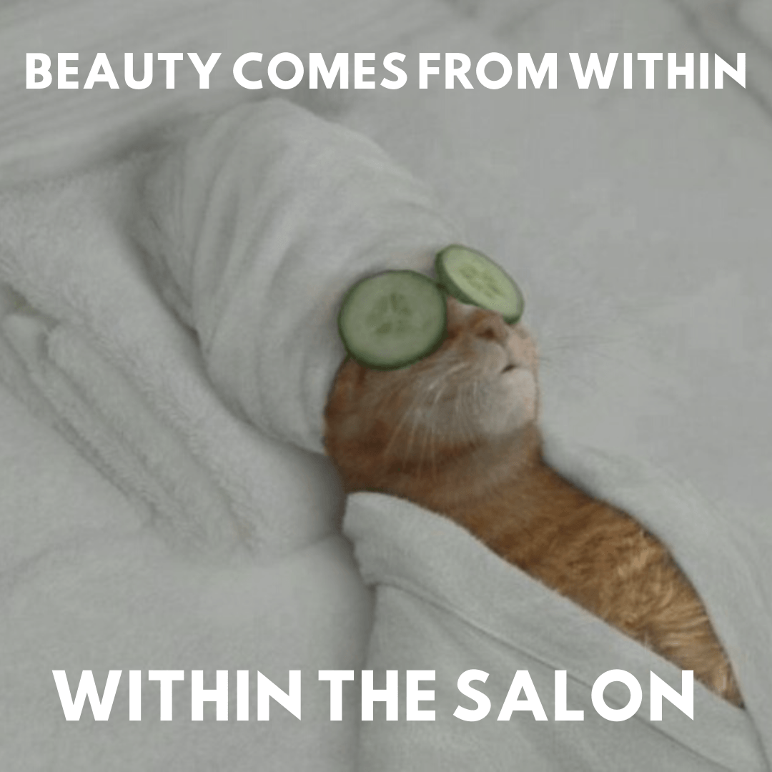 Top 10 Best Hair Salon Memes For Your Facebook Business Page