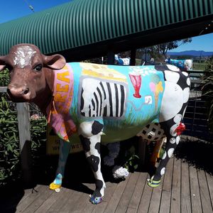 motel accommodation albury wodonga reviews