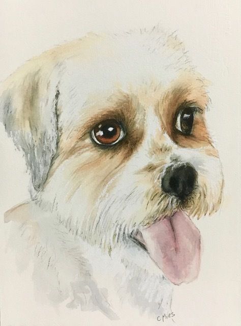 Dog Portrait — Pet Portraiture in Rapid Crook, NT